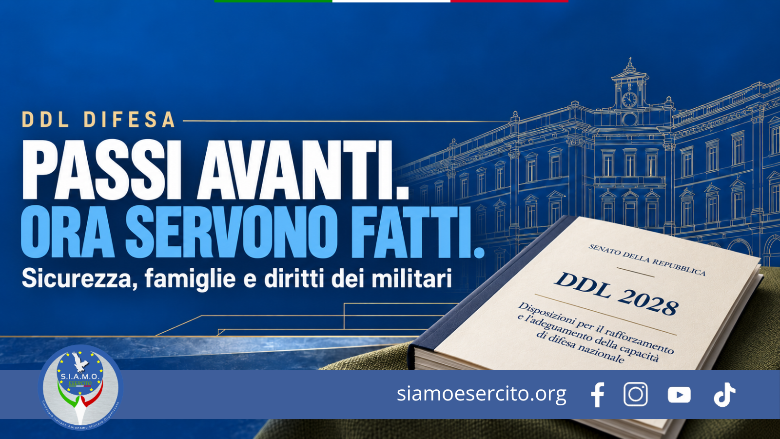Ddl difesa